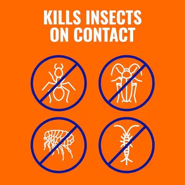 TERRO 3 lb. Outdoor Ant Killer Plus Multi-Purpose Insect Control Granules