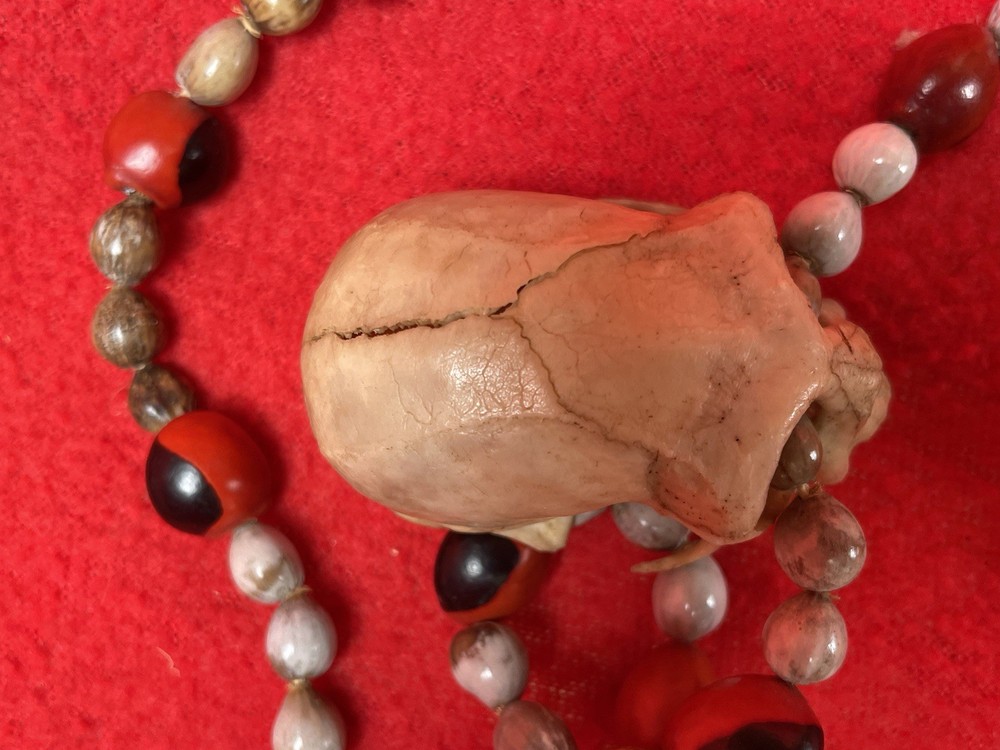 Magical Sacred Seed & Monkey Skull Shamanic Ritual Necklace