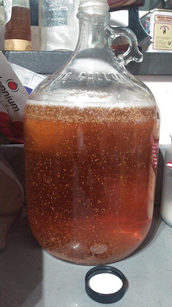 Red Star Sampler Wine Yeast (10 Pack) - Great for Making Wine Cider Mead Kombuch