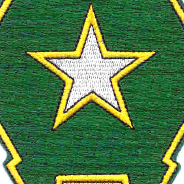 36th Infantry Regiment Patch
