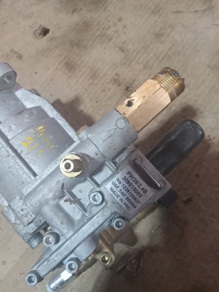 Homelite 308418006