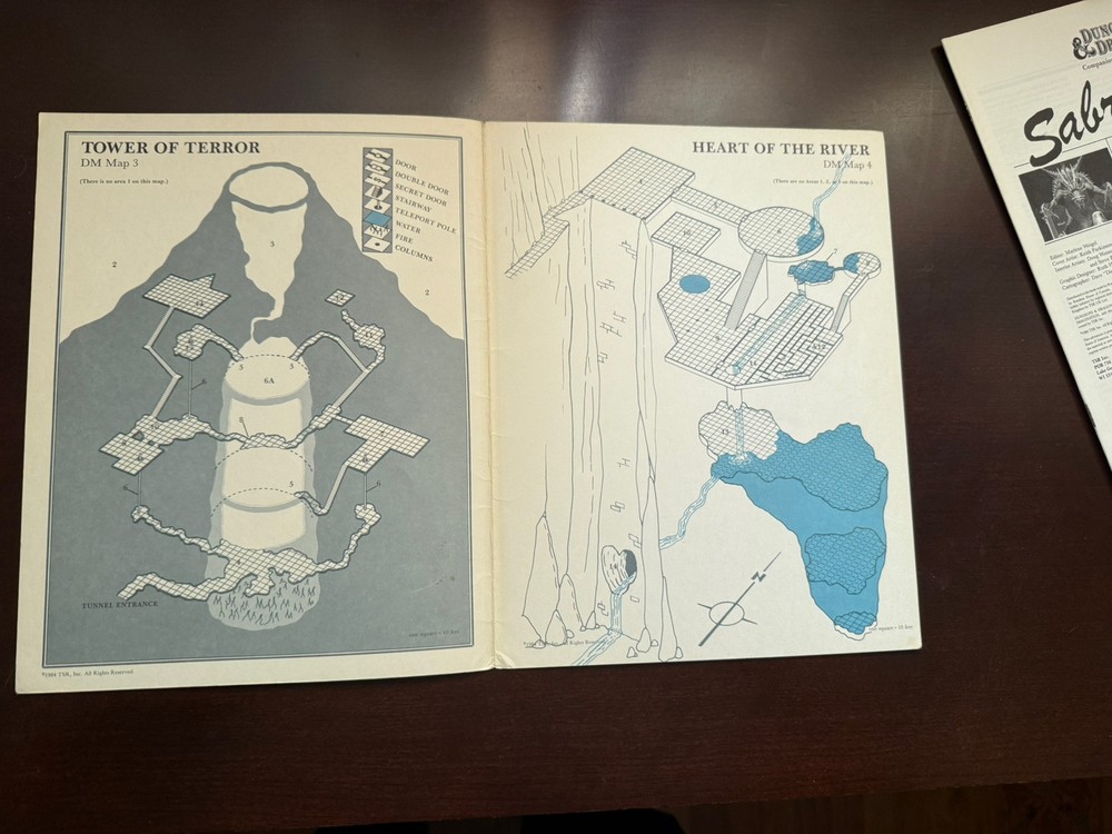 D&D TSR Adventure Module “Sabre River”