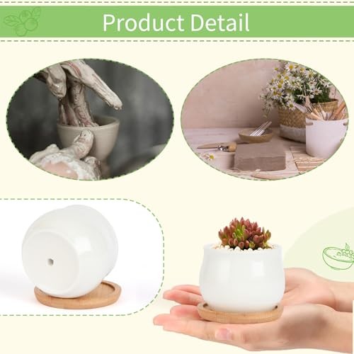 2 Pack Succulent Pots, 2.5 Inch Mini Ceramic Pots for 2 Pack White Mini Pots