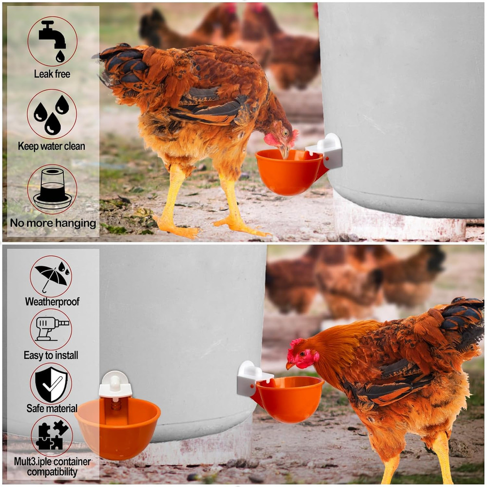 6-Pack Automatic Chicken Waterer Cups - No Waste Poultry Watering Solution for C