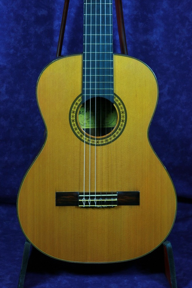 PEPE P-55 / (no251207)