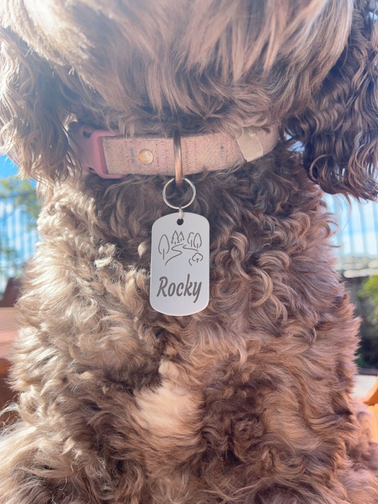 Pawtographize Dog Cat ID Tags Personalized Pet Name Tags Engraved Customized