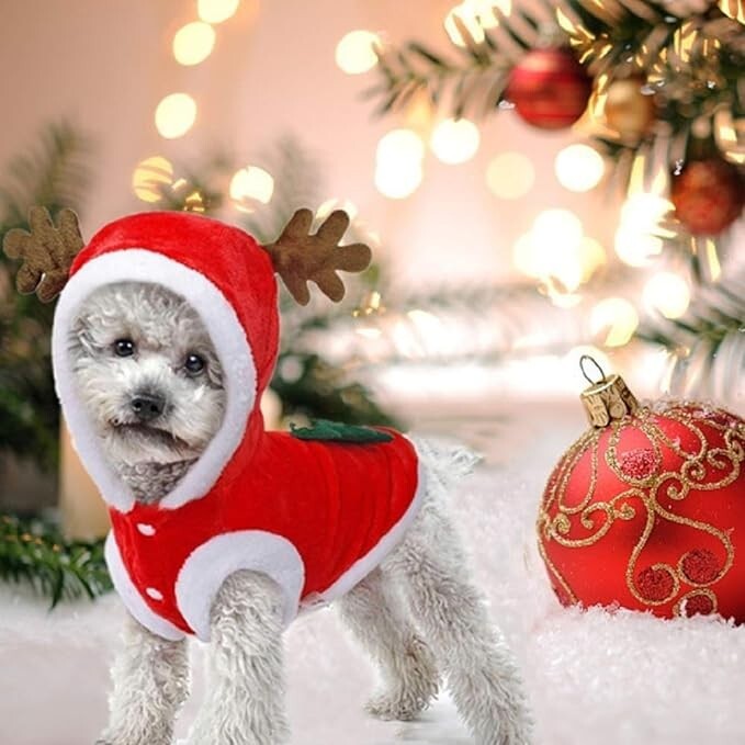 Pet Christmas Coat