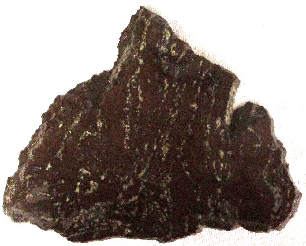 Fossilized Palm Root Slab - 150 Grams - Indonesia - Black - White