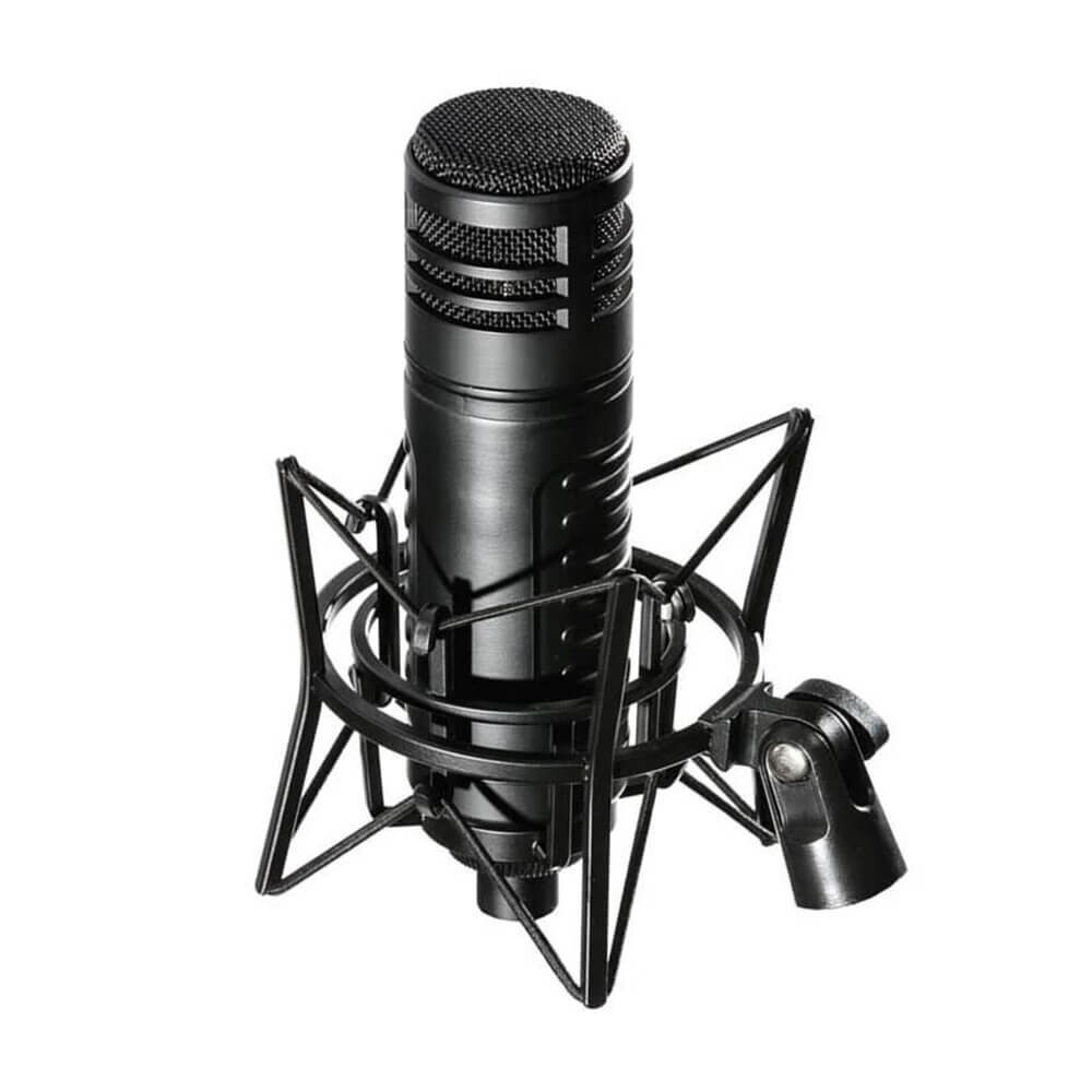 ART D7 Large Diaphragm Dynamic Microphone