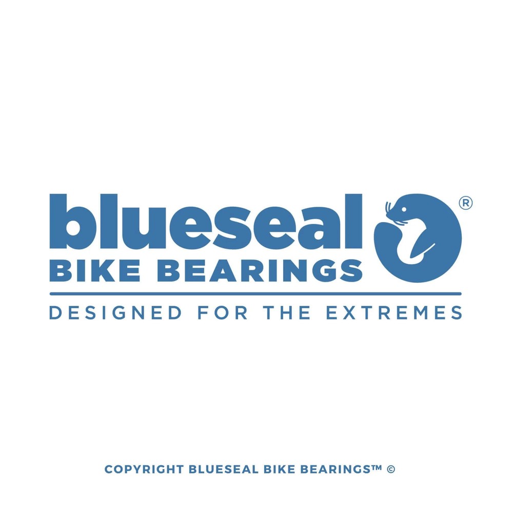 Specialized Allez Headset Bearings