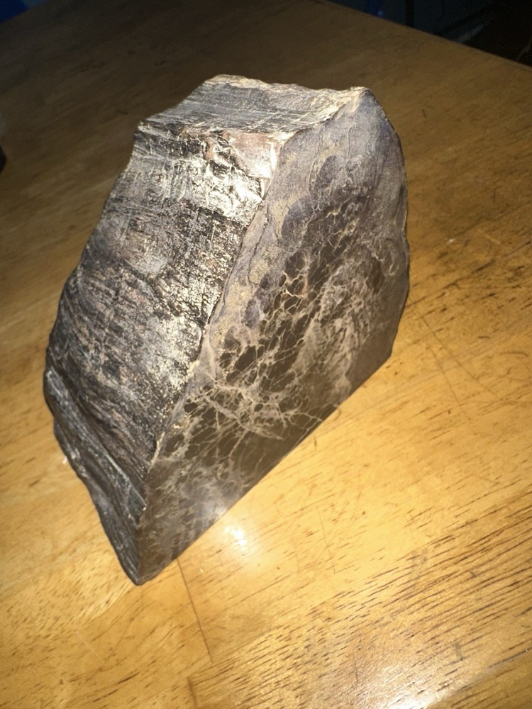 Petrified Wood Slab