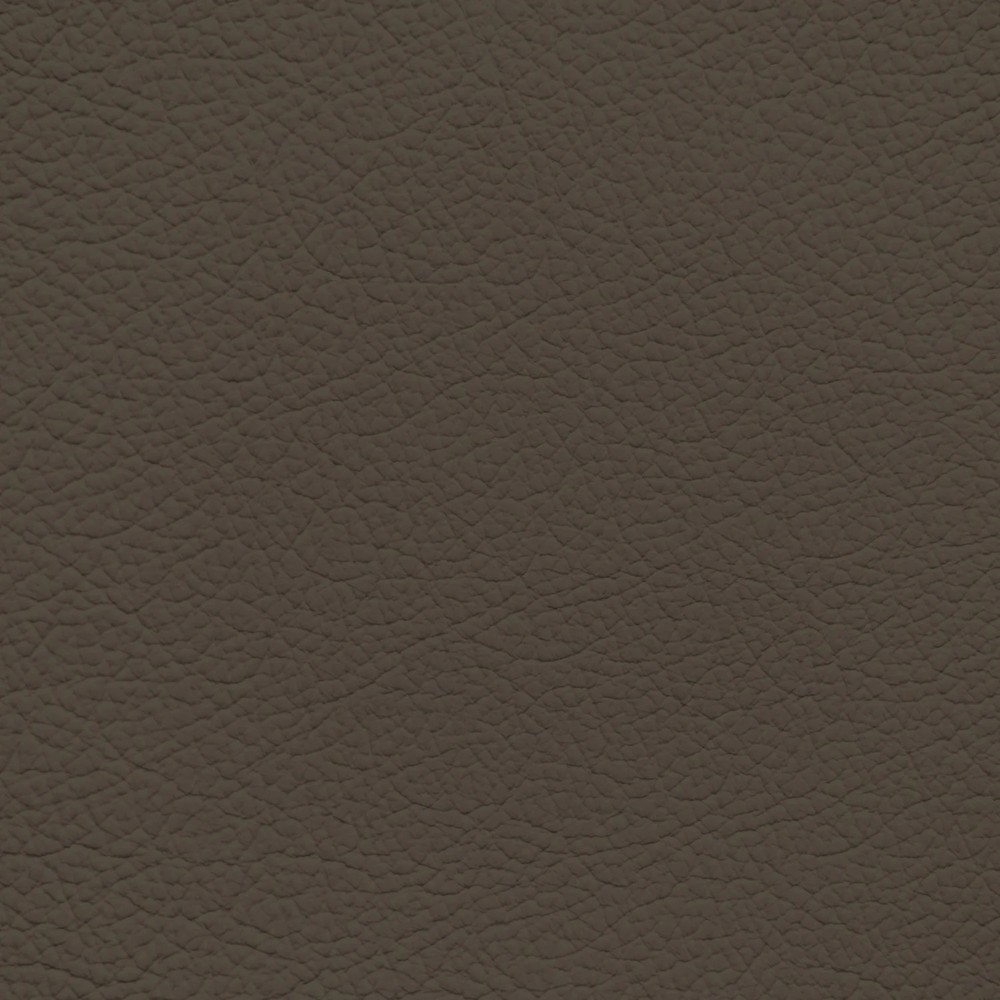 Ford/Lincoln/Mercury Java Leather Dye