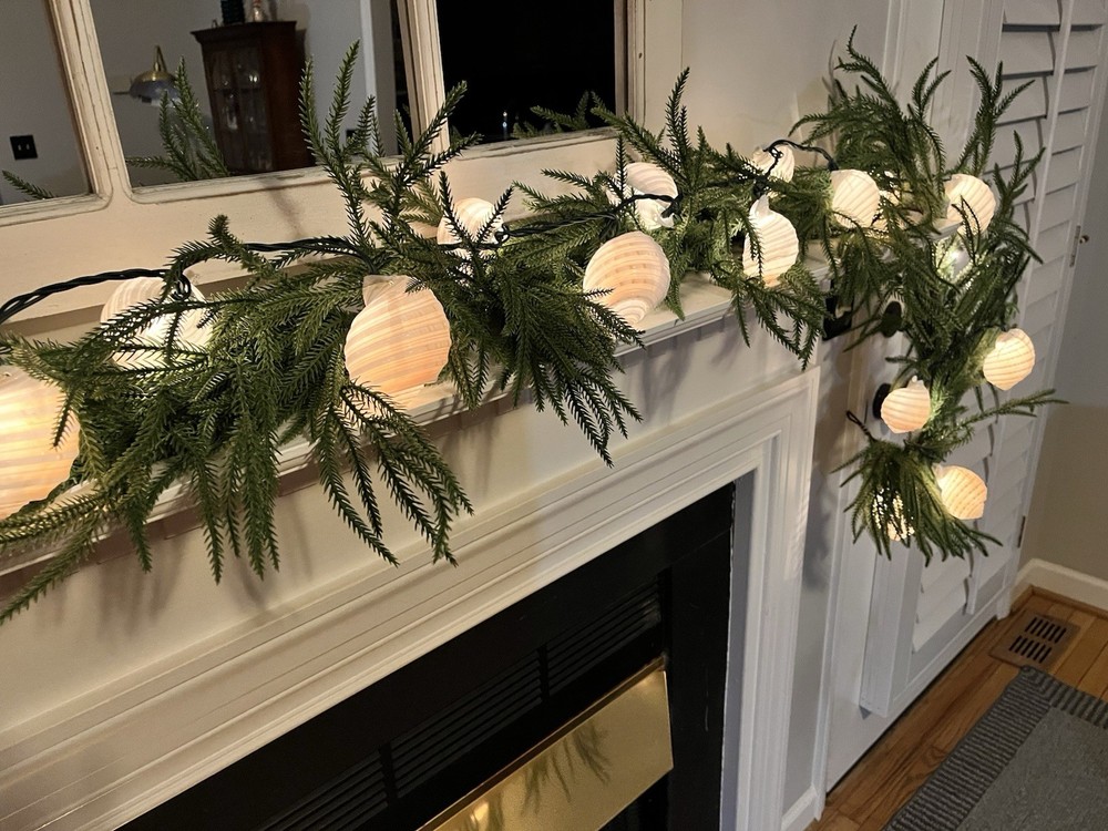 Sea Shell Patio Lights