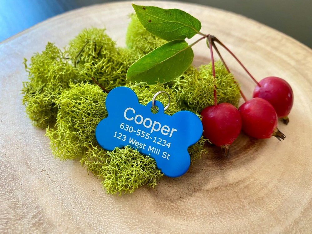 Custom Engraved Dog Tag Pet ID with split ring Personalized tag, CHARMS