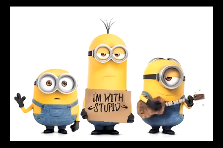 I'm with Stupid Minion Refrigerator Fridge MAGNET