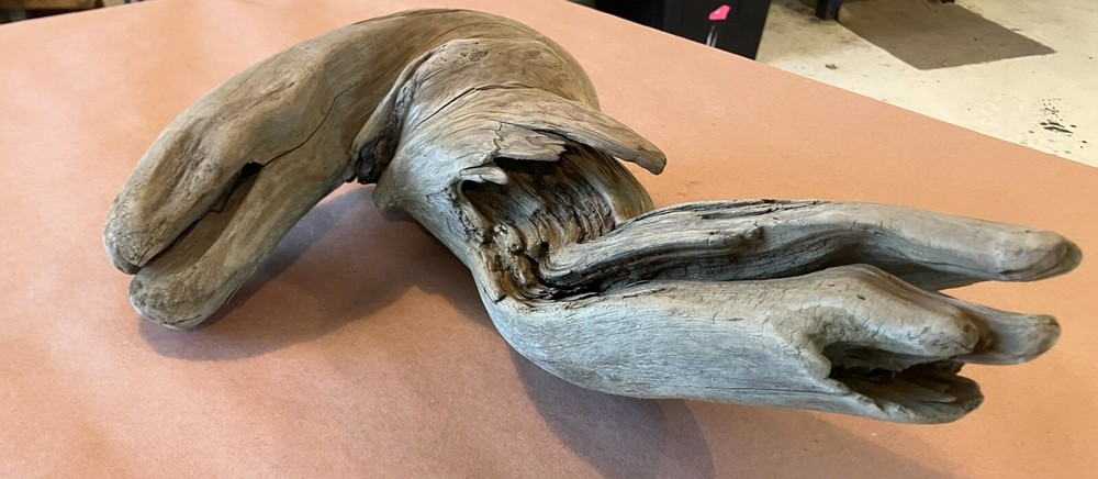 Beautiful Driftwood