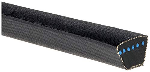B89 Belt