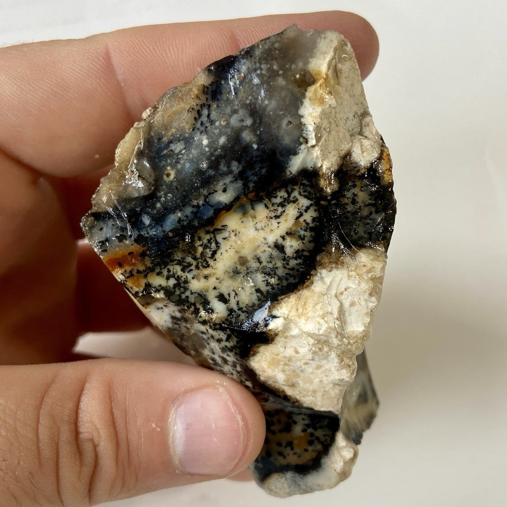 Natural Dendritic Opal Stunning Rough Stone 7.67 Oz!