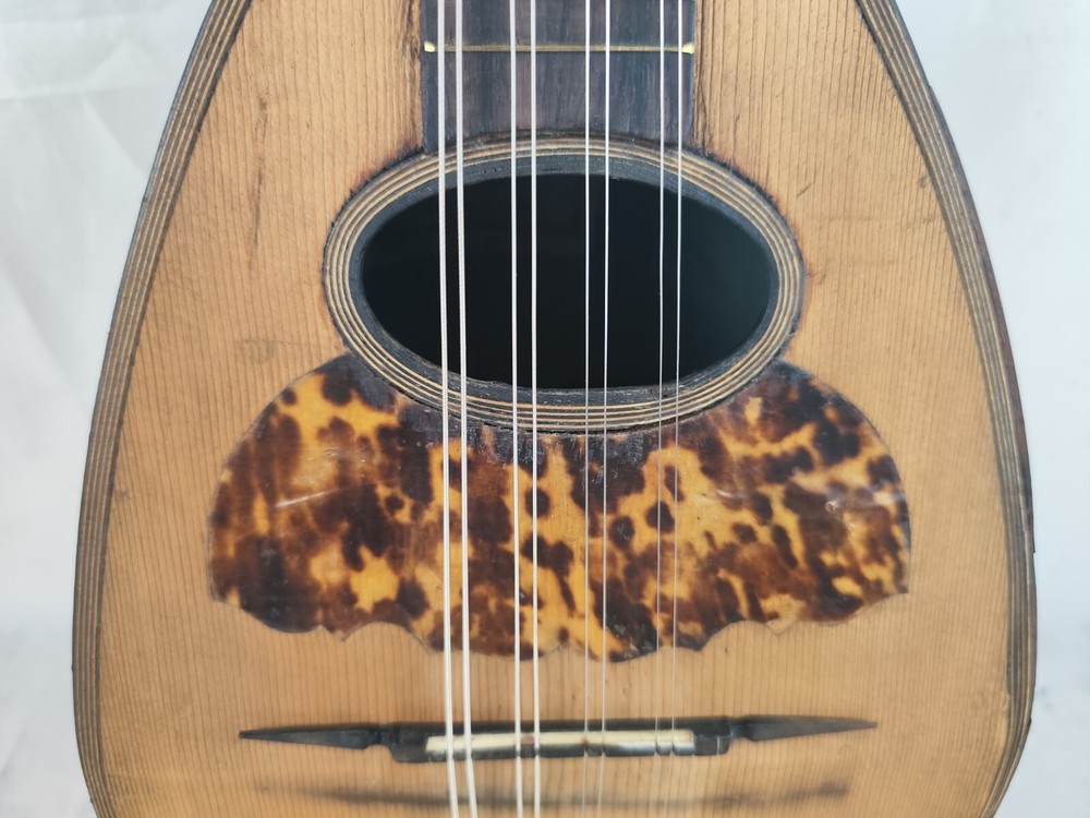 Mandolin 4/4 Francesco Solomone 1905 Naples 曼陀林 만돌린マンドリン