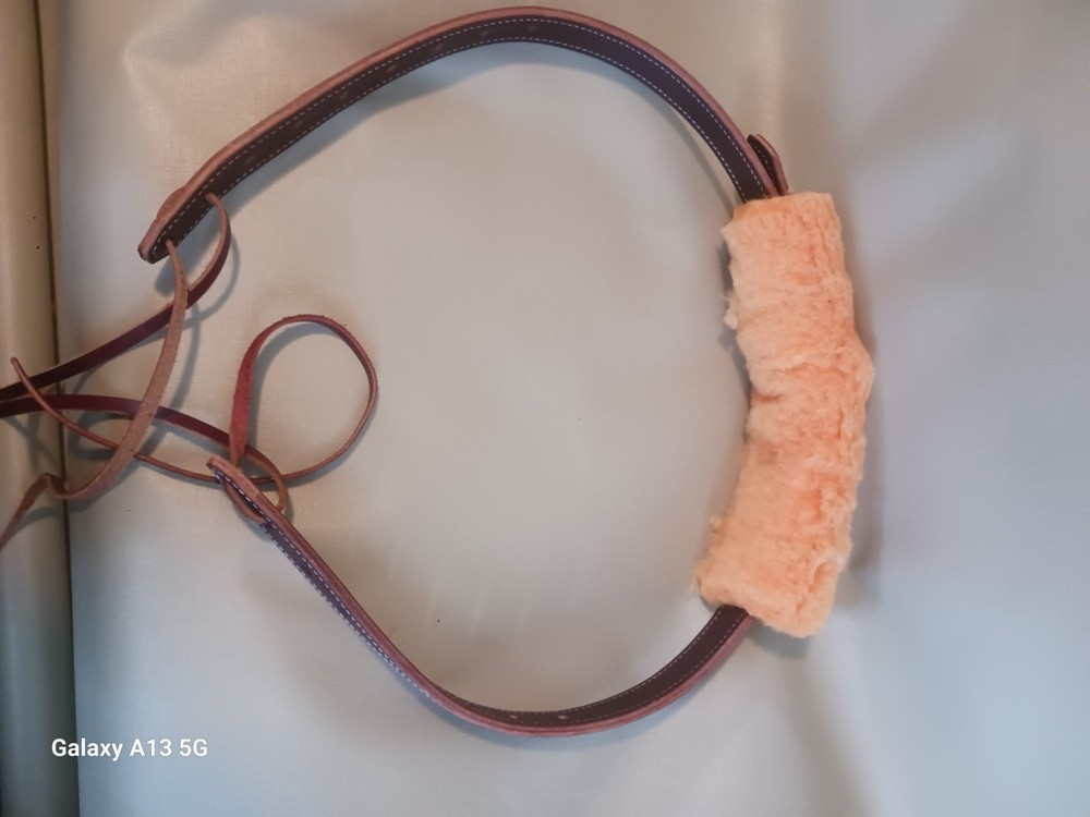 Trick Riding Hippodrome Strap