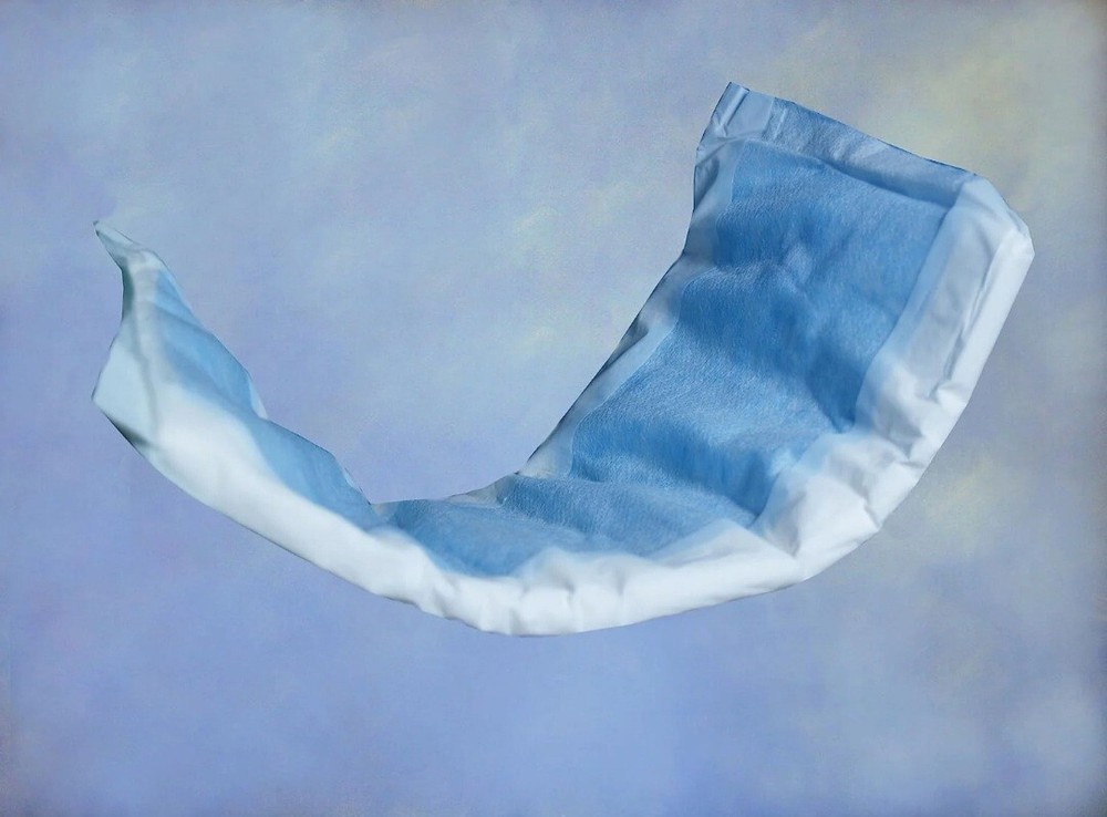 10-Pack Inspire Premium Absorbent Liners (250 Count)