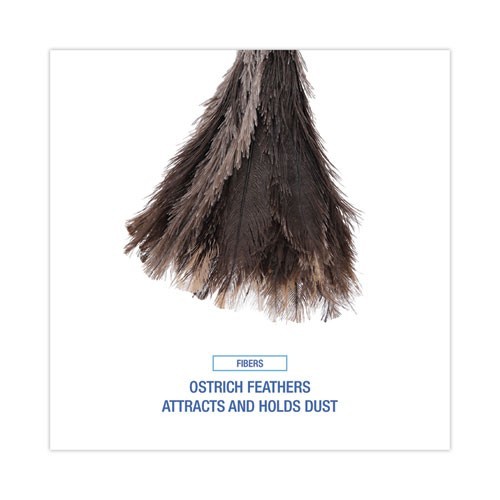 Boardwalk Professional Ostrich Feather Duster, 13" Wood Handle
