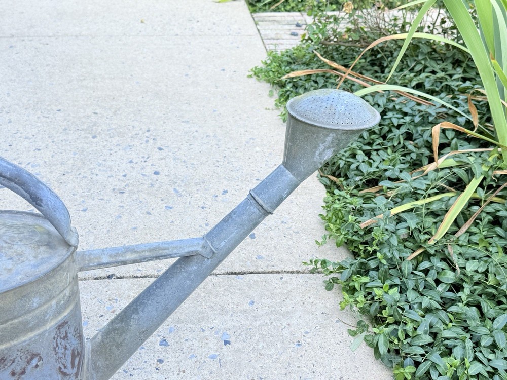 RARE Antique GERMAN BAT GALVANIZED Watering Can