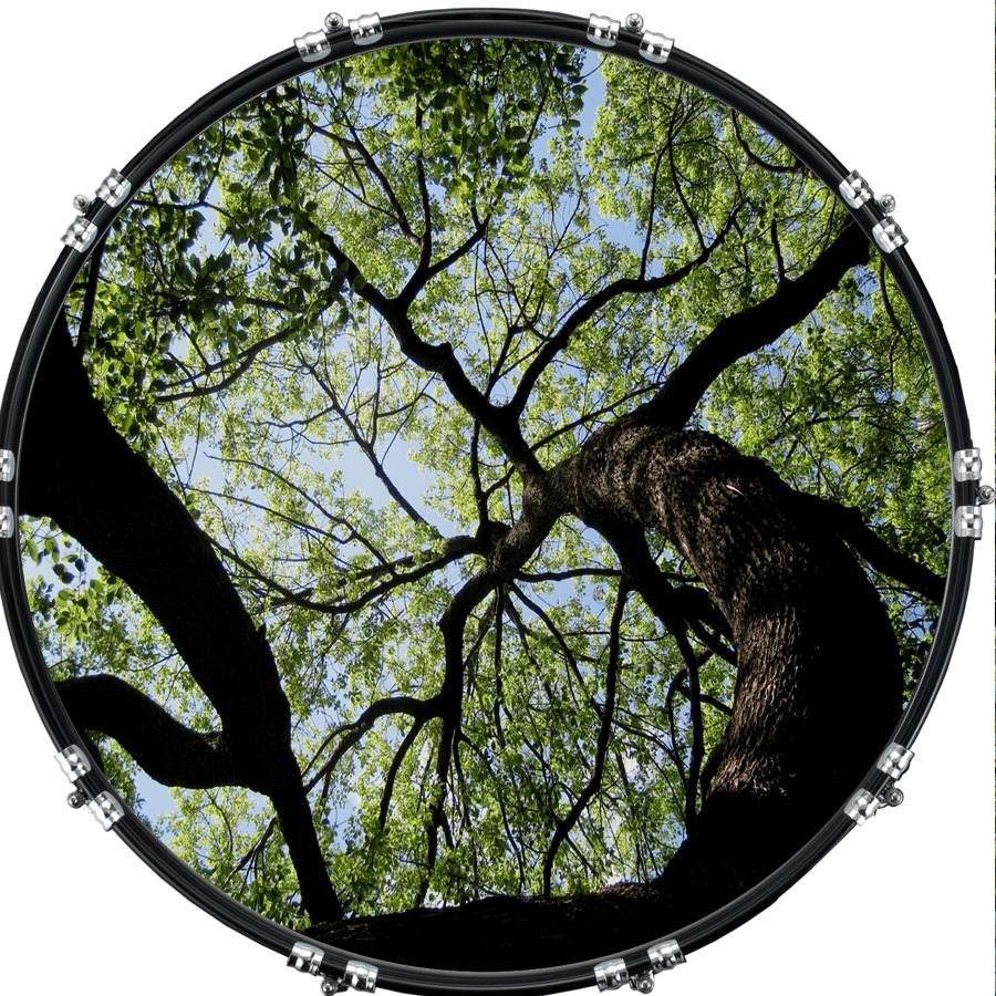 20" Custom Bass Kick Drum Front Head Graphic Graphical Train Tree 1