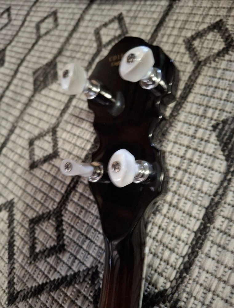 Fender FB55 5 String Banjo