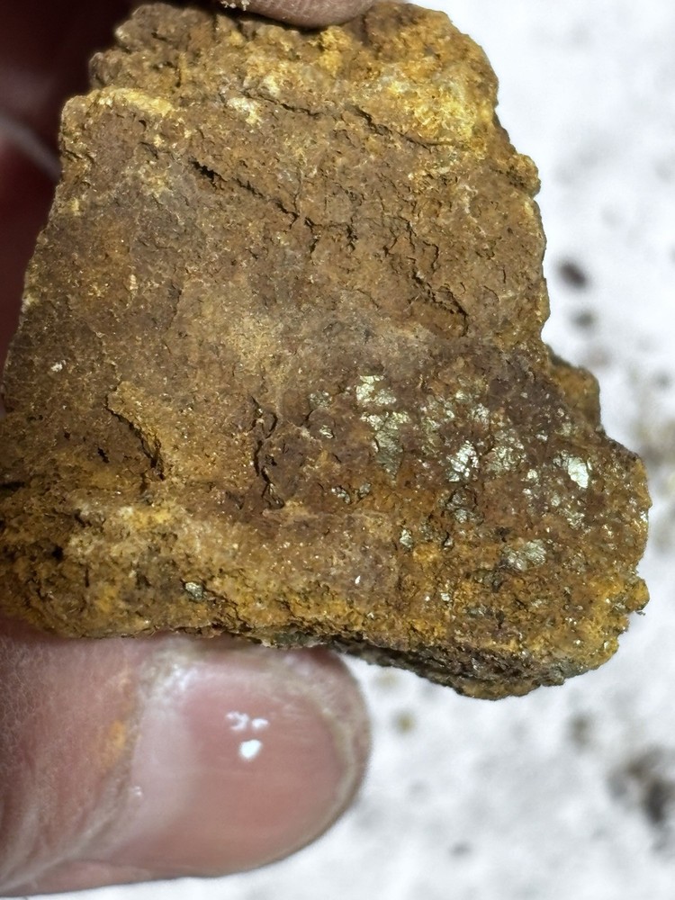arizona gold and silver ore