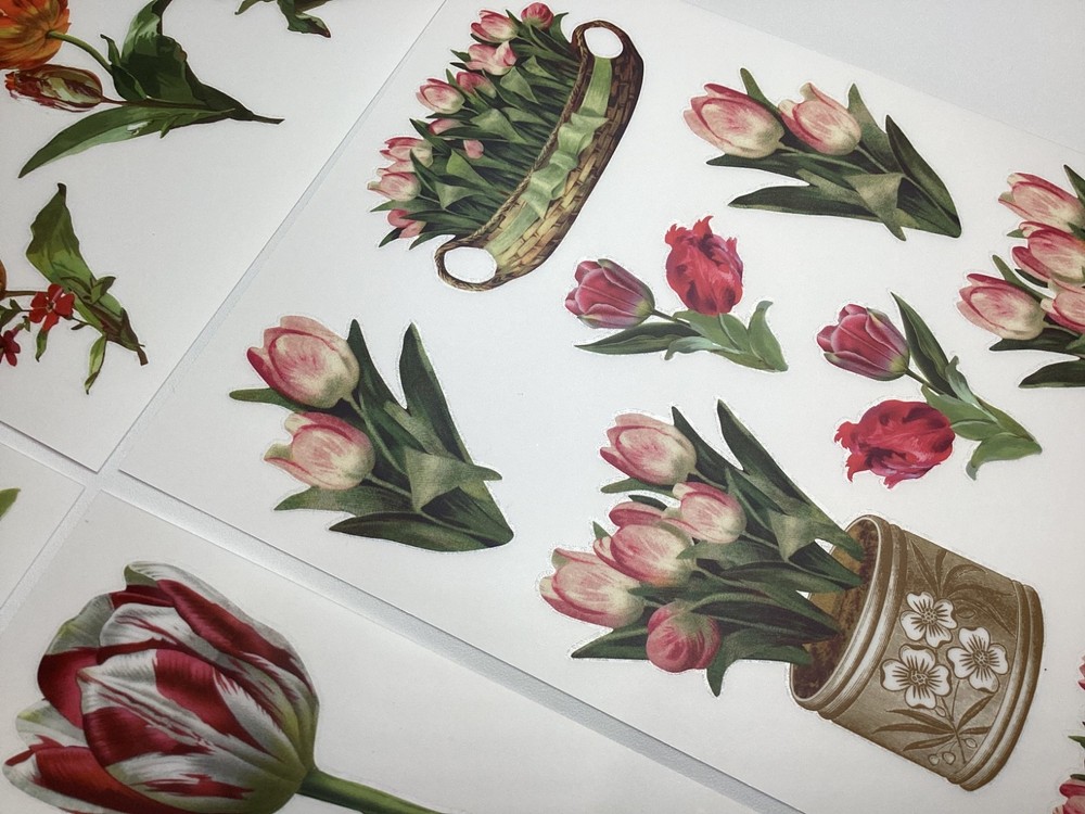Anna Griffin Tulip Rub On Transfers
