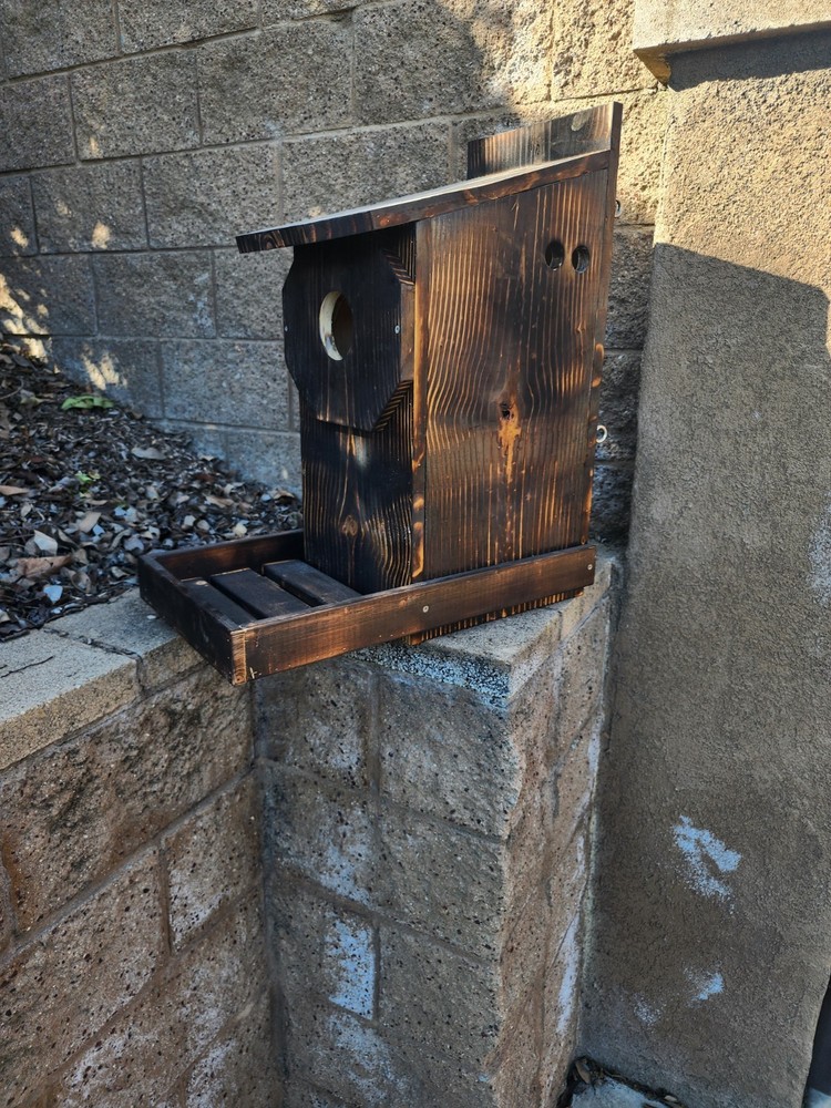 Custom Made Owl Box/House
