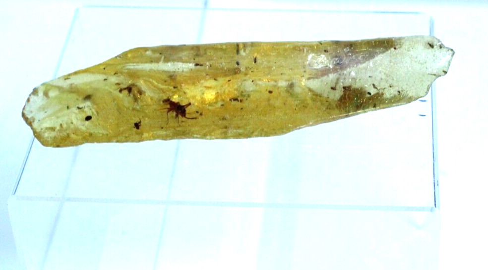 COPOL VEGETABLE ORIGIN RESIN 45 GRAMS