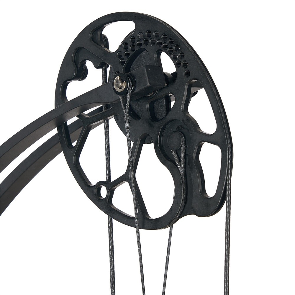 320FPS Hunting Target Compound Bow Right Hand 19-70LBS Adjustable Archery Set