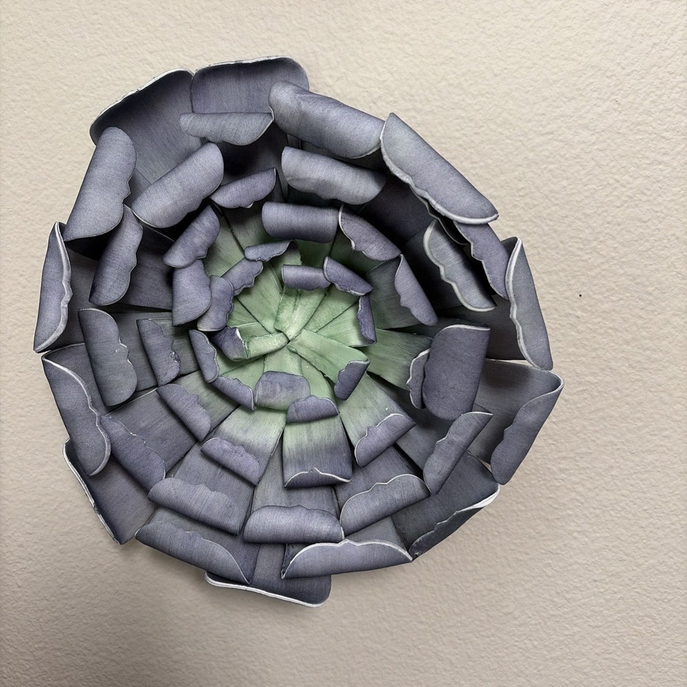 Set Of Four Large Succulent Wall Decorations