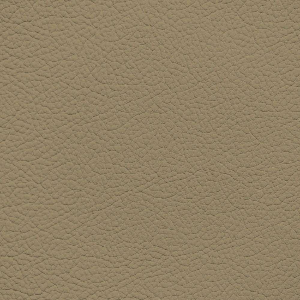 Audi Twist Beige Leather Dye