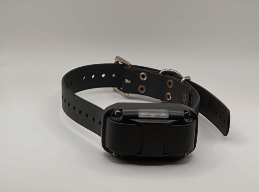 E-Collar Technologies Dog Training Collar ET-800 TS and ET-500 Transmitter TS