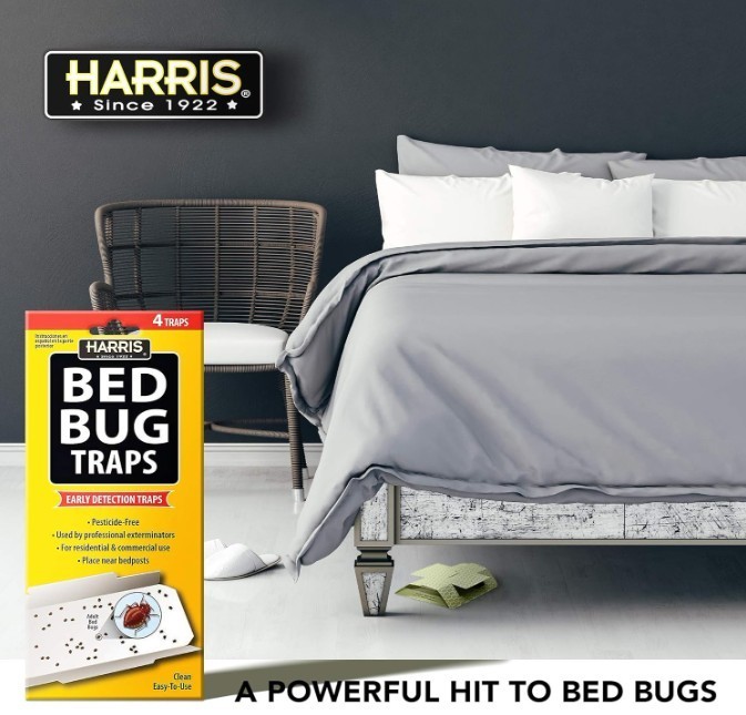 Harris Bed Bug Early Detection Glue Traps (4/Pack)