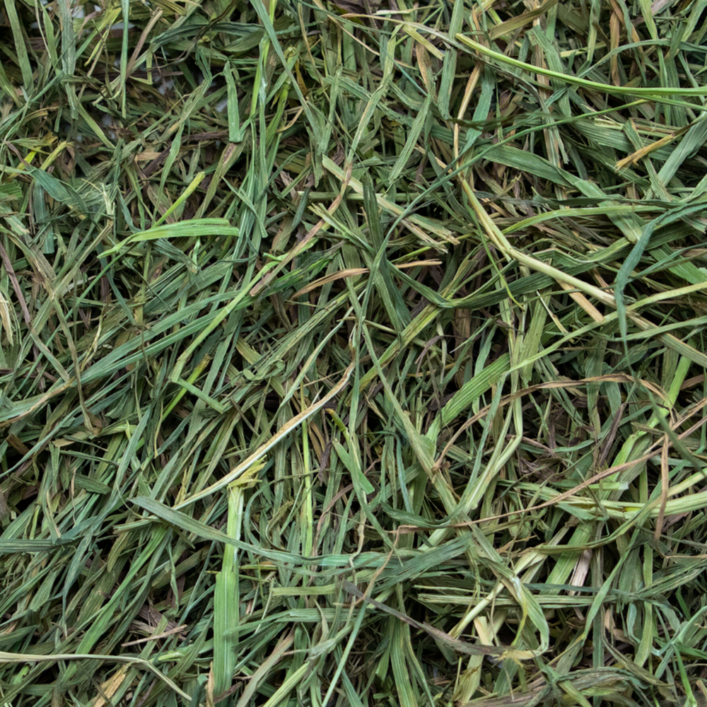 Ultra Premium Soft Timothy Hay