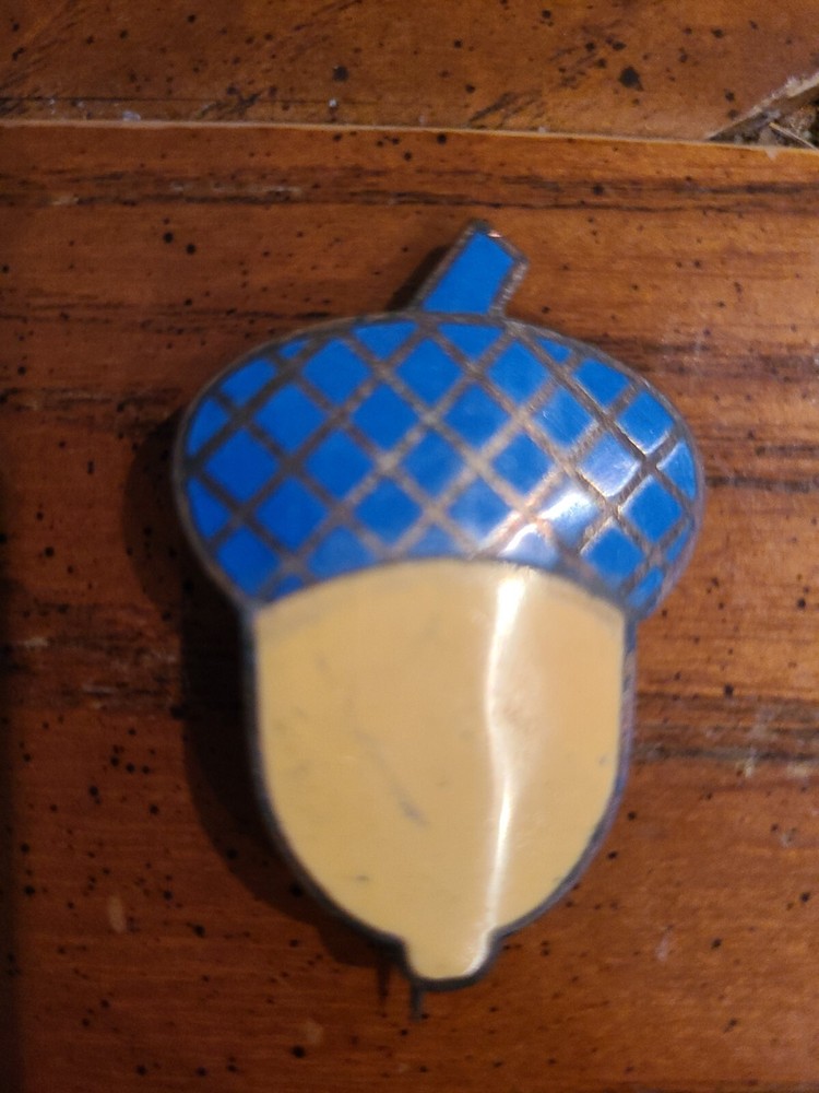 Civil War 14th Corps Badge