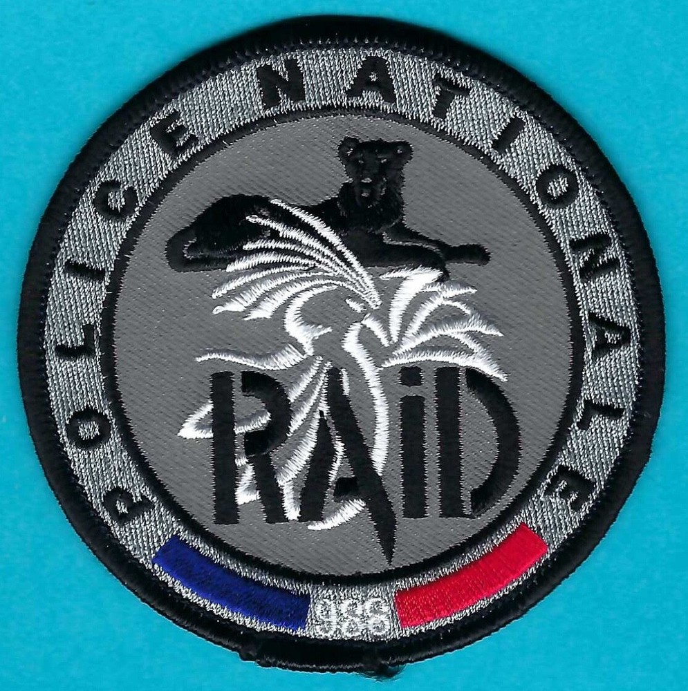 FRANCE NATIONAL POLICE RAID INTERVENTION GROUP SHOULDER PATCH SILVER BORDER