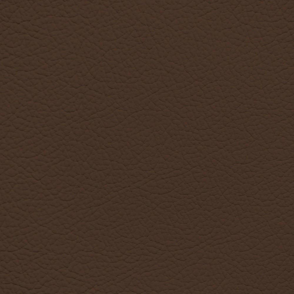 Audi Roast Brown Leather Dye