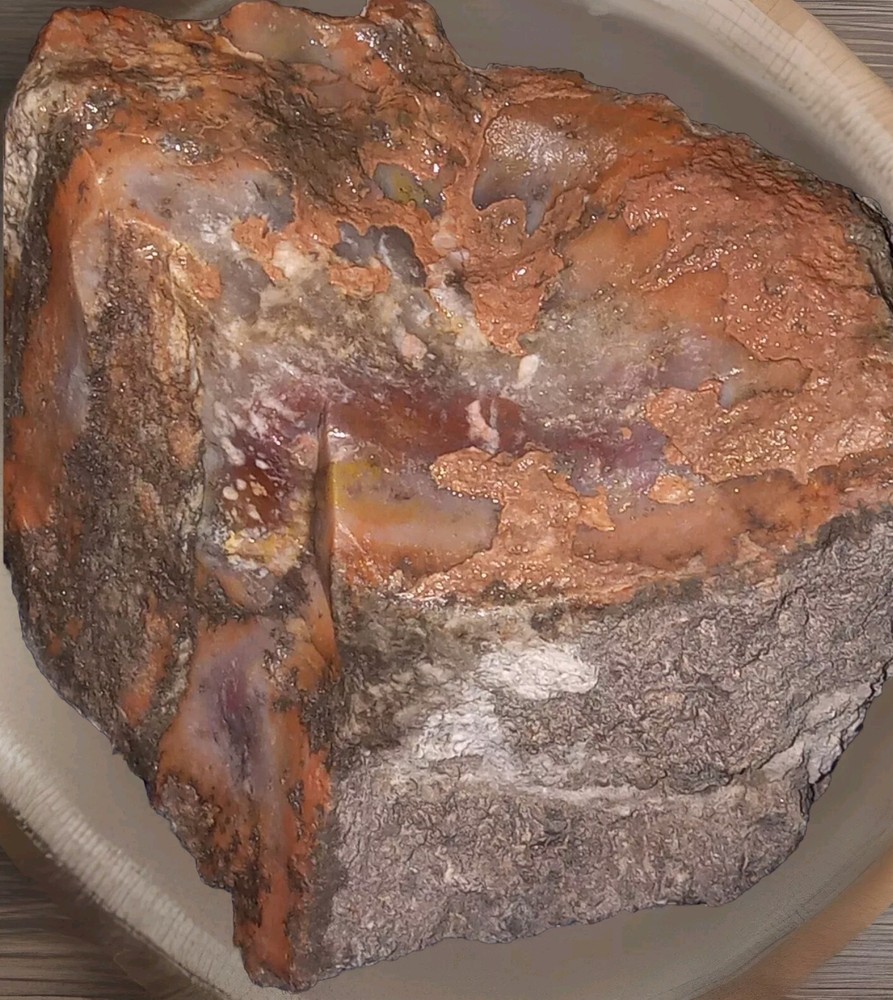 Petrified Wood Rough Specimen Burnt End AZ 270g