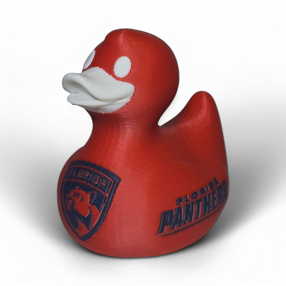 Florida Panthers Duck