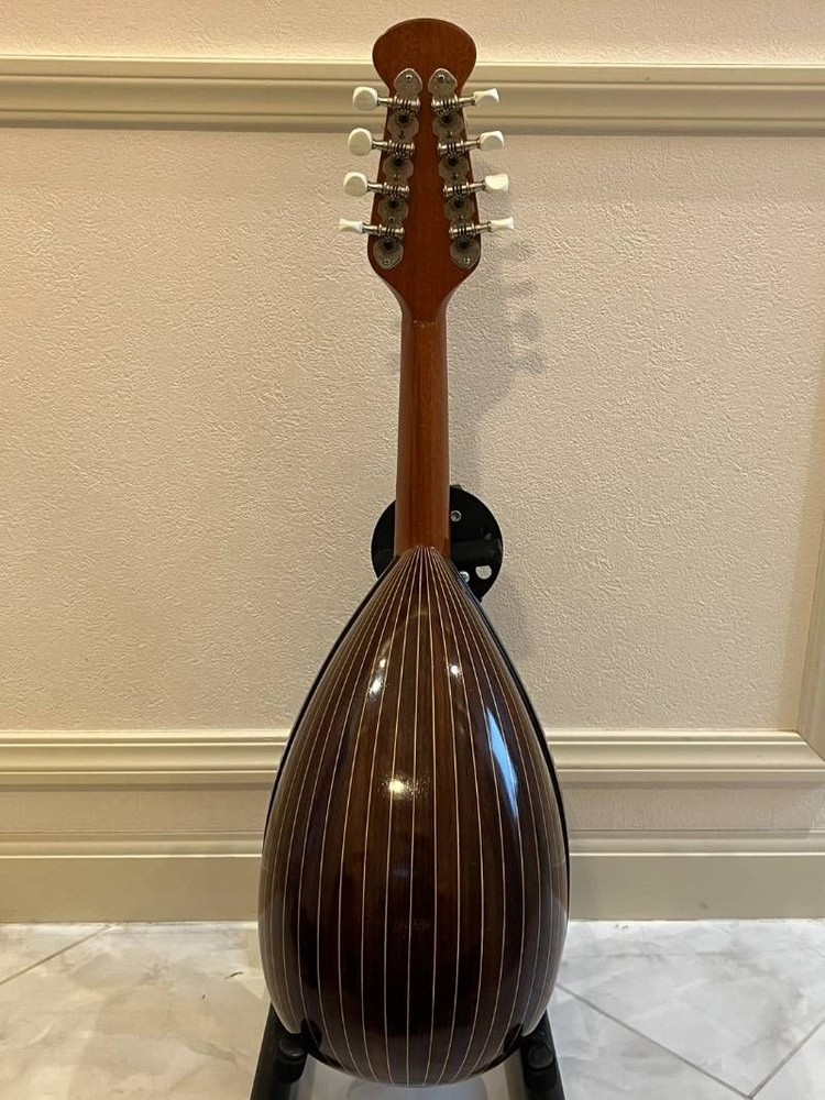 Minoru Noguchi Mandolin String Instrument with Hard Case