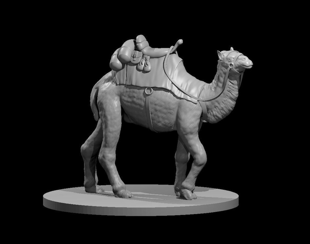 Camel Mount 28mm Scale DND D&D Wargame Tabletop Mini