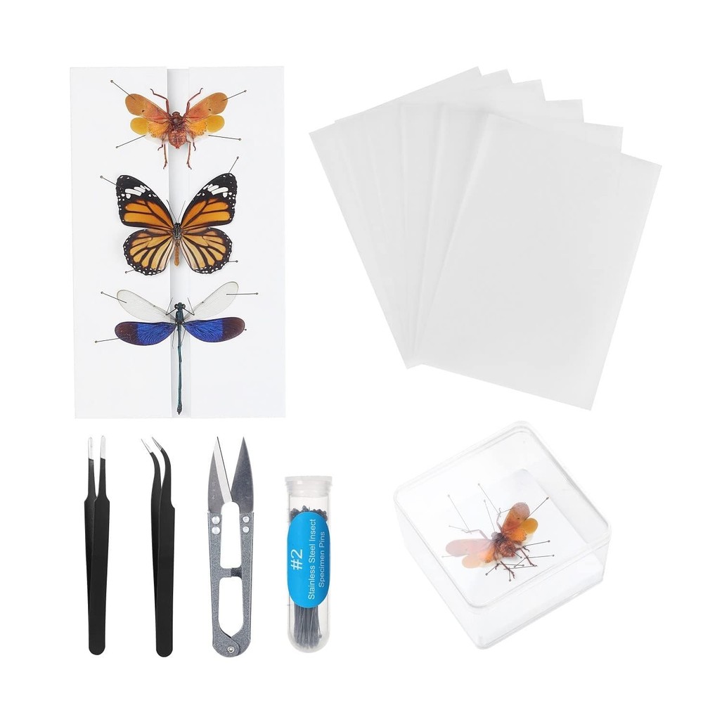 Making Insect Specimen Tools Kit, Pins,Insect Pinning Board, Kit