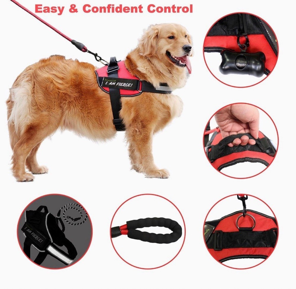 PAWFULL 🐾No Pull Reflective D🐶G Harness KiT | BLACK