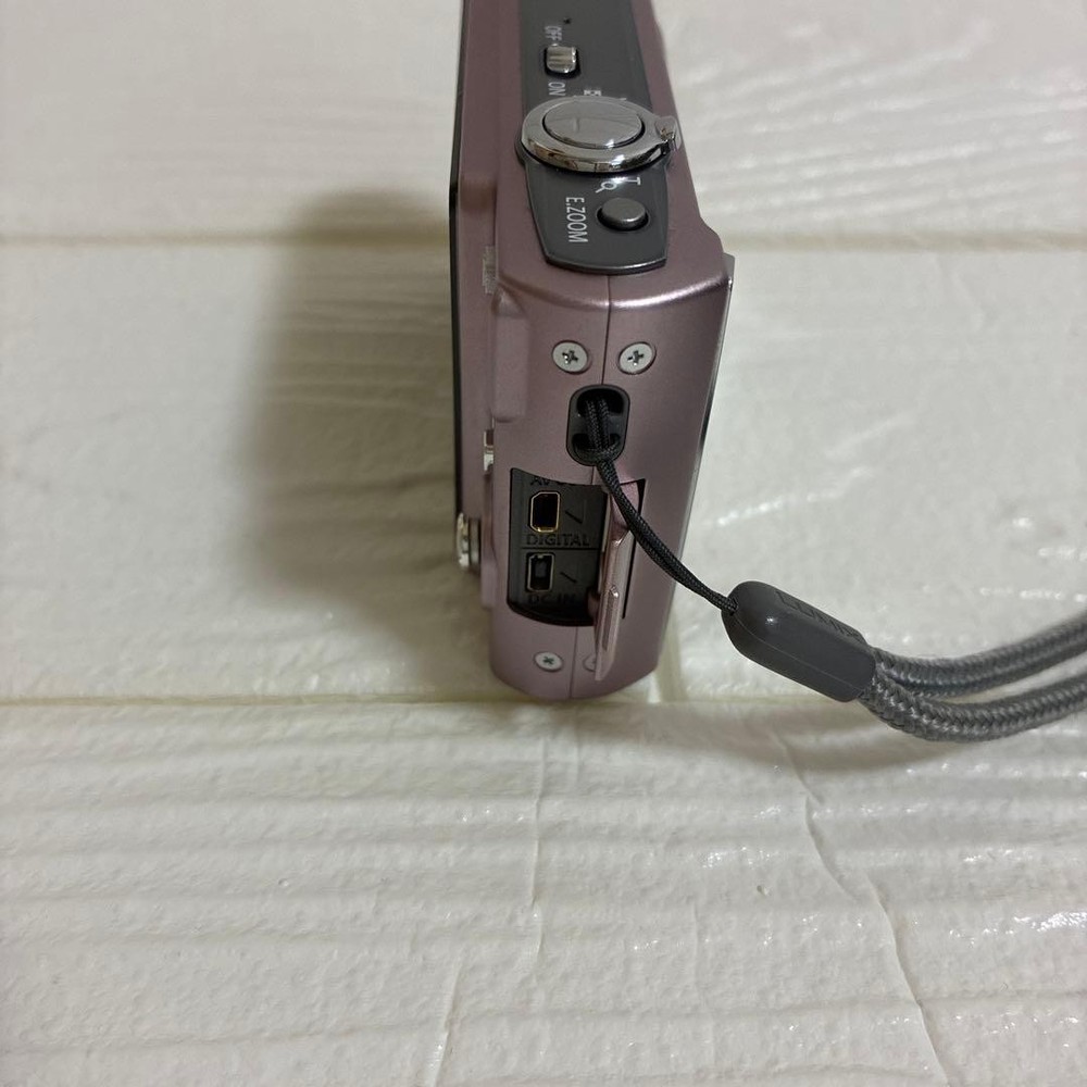 Panasonic DMC FS20 Pink Digital Camera Compact Ready to Use Authentic