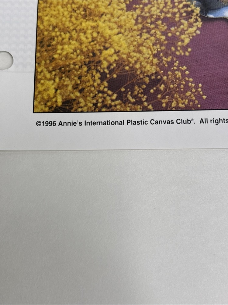 Wild Roses Place Setting Mat Annie's Attic Plastic Canvas Pattern Page